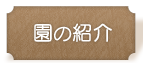 二宮育美幼稚園｜園の紹介